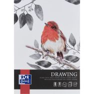 Lot de 10 Bloc dessin Drawing Oxford Art endossé A4 25p 200g