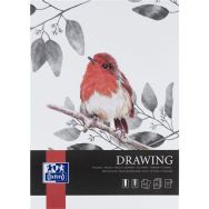 Lot de 5 Bloc dessin Drawing Oxford Art endossé A3 40p 160g